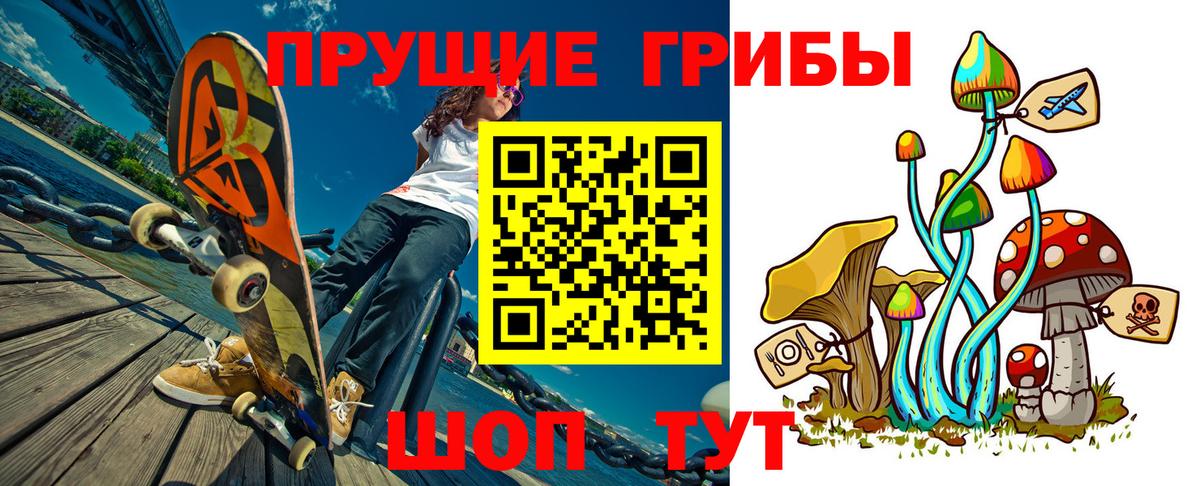 Псилоцибиновые грибы GOLDEN TEACHER  Вход с VPN  Сосновый Бор 